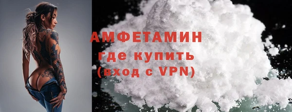индика Краснослободск