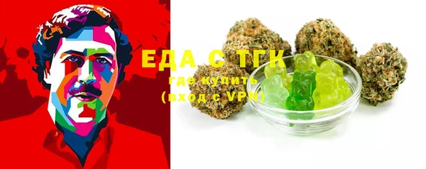 индика Краснослободск