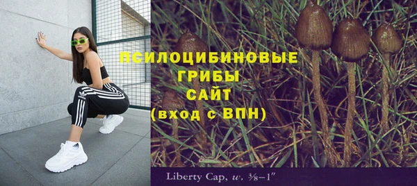 индика Краснослободск