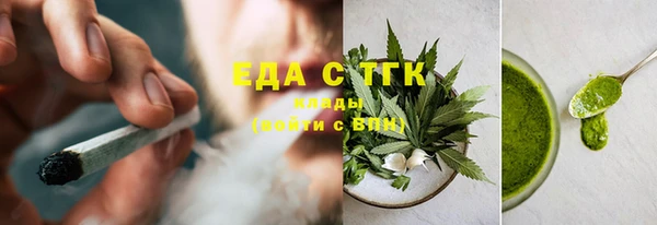 индика Краснослободск