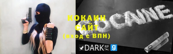 индика Краснослободск