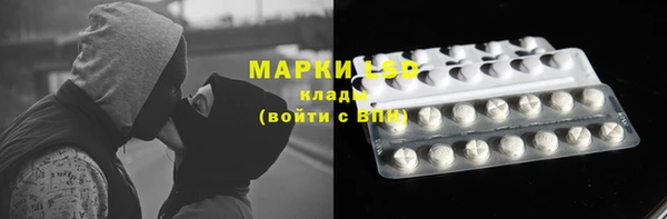 индика Краснослободск