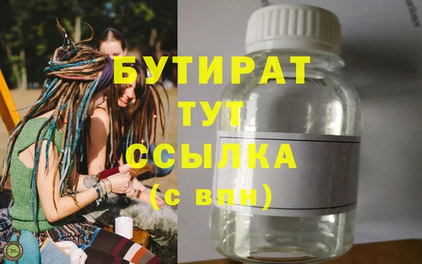 индика Краснослободск