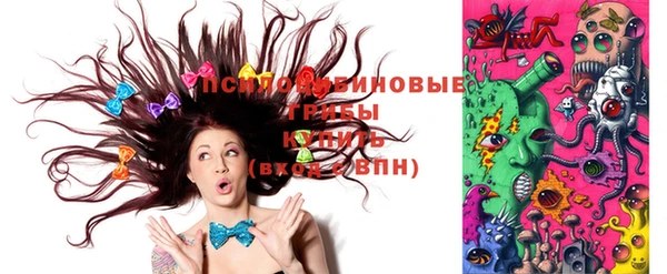 индика Краснослободск