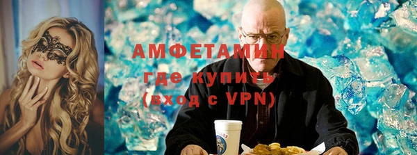 индика Краснослободск