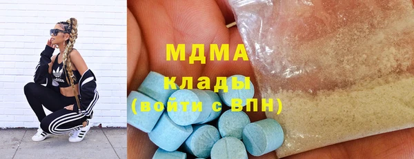 индика Краснослободск