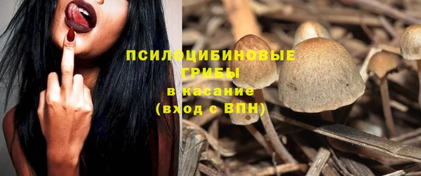 индика Краснослободск