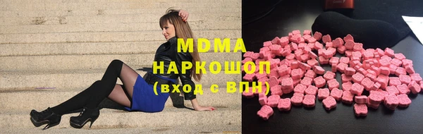 индика Краснослободск
