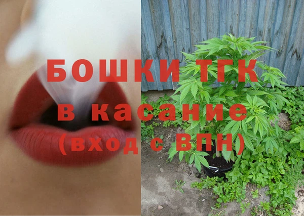 индика Краснослободск